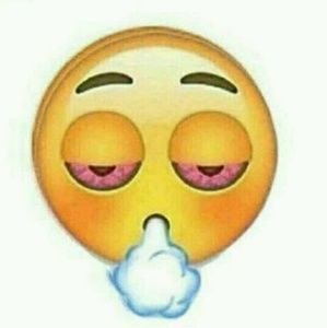 Meet your Posher, Dawson